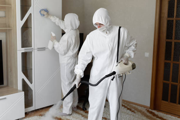 Mold Testing and Removal in Centerville, SC